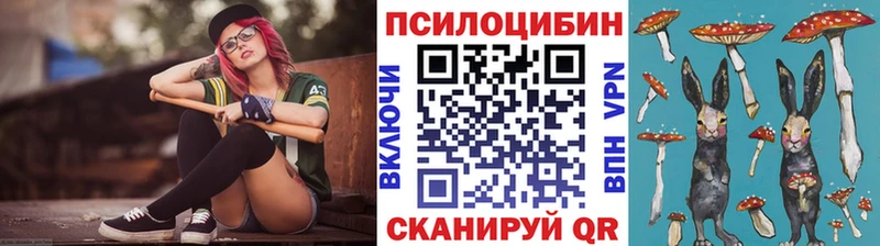 Псилоцибиновые грибы Psilocybine cubensis  Харовск 